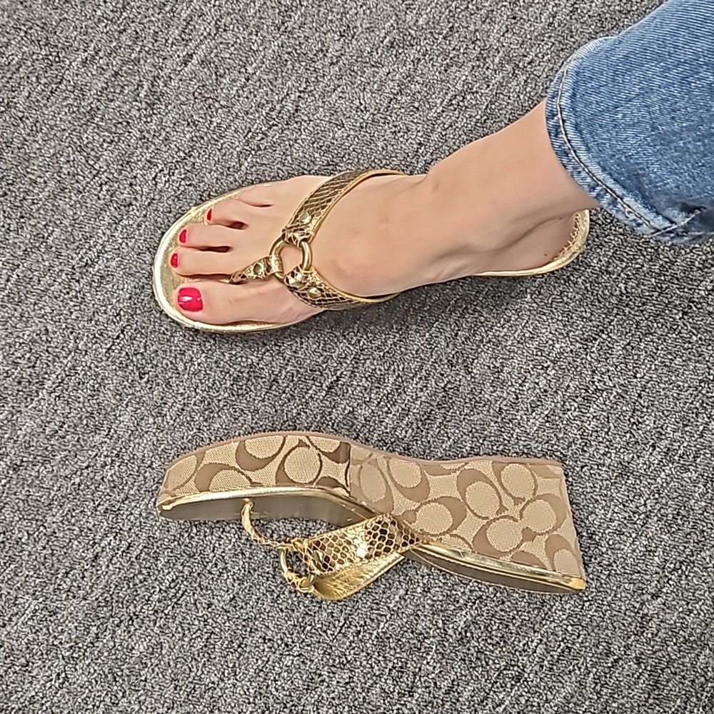 Coach Evita Metallic Platform Sandles